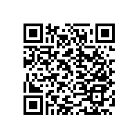 【藍(lán)品盾】公共衛(wèi)生間扶手| 防滑耐候性好