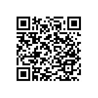 藍品盾老年衛(wèi)浴扶手浴室安全防跌倒