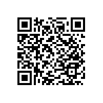 【藍(lán)品盾】老人廁所扶手，小產(chǎn)品大功能