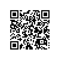 【藍品盾】馬桶扶手衛(wèi)生間扶手-簡約實惠款&豪華款