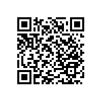 藍(lán)品盾衛(wèi)生間殘疾人扶手