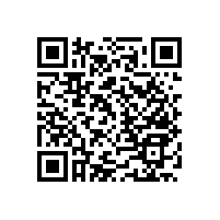 藍品盾衛(wèi)生間蹲便扶手-生產(chǎn)廠家支持上門安裝