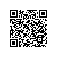 【藍(lán)品盾】衛(wèi)生間的殘疾人不銹鋼扶手大推薦