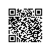 藍品盾衛(wèi)生間扶手一般多長