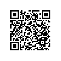 藍品盾衛(wèi)生間無障礙輔助扶手常用款式