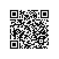 藍品盾~衛(wèi)生間浴室扶手-安全實用都要做到