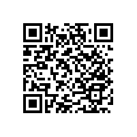 藍品盾新款老人衛(wèi)生間扶手也太好看了吧！