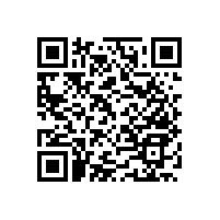 藍品盾新品--帶紙巾盒衛(wèi)浴扶手