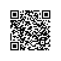 藍(lán)品盾-元旦放假通知