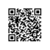 藍品盾養(yǎng)老院衛(wèi)生間扶手-款多可訂做