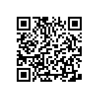 藍(lán)品盾浴室免打孔老人扶手可靠嗎安全嗎