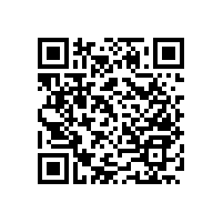 藍品盾坐便器安全扶手 小扶手大用場