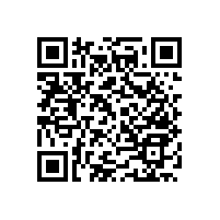 【藍(lán)品盾】這些款式的殘疾人衛(wèi)生間扶手安全又美觀呢