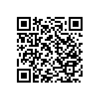 老人安全衛(wèi)生間扶手省空間的小妙招【藍(lán)品盾】