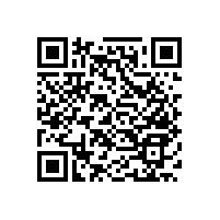 老人床邊扶手解決老人起床困難的小幫手【藍(lán)品盾】