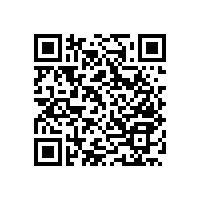 老人/殘疾人無障礙上翻折疊馬桶扶手