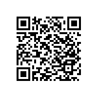 老人廁所扶手/不易腐蝕【藍品盾】