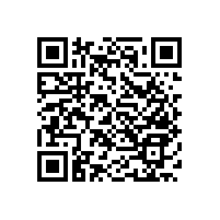 老人廁所扶手護(hù)欄防水不生銹【藍(lán)品盾】