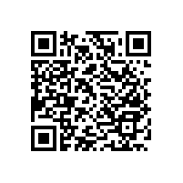 老人廁所扶手-設(shè)計(jì)簡(jiǎn)單/多色搭配【藍(lán)品盾】