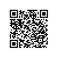 老人扶手欄桿衛(wèi)生間抗菌款也時尚百搭