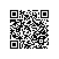 老人馬桶扶手-解決衛(wèi)生間易滑的煩惱【藍(lán)品盾】