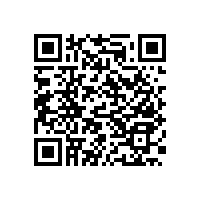 老人室內(nèi)無(wú)障礙扶手藍(lán)品盾新品