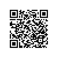 老人衛(wèi)生間安全扶手-個(gè)性化的設(shè)計(jì)讓老人使用更方便【藍(lán)品盾】