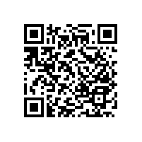 老人衛(wèi)生間安全扶手-簡(jiǎn)約大方【藍(lán)品盾】