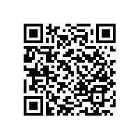 老人衛(wèi)生間折疊扶手超強防護【藍(lán)品盾】