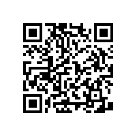 老人衛(wèi)生間折疊扶手防護(hù)【藍(lán)品盾】