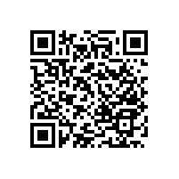 老人衛(wèi)生間折疊扶手簡(jiǎn)單設(shè)計(jì)輕松防滑！【藍(lán)品盾】