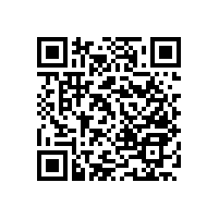 老人衛(wèi)生間自動收放扶手