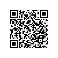 老人用的衛(wèi)生間馬桶扶手【藍品盾】