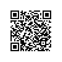 老人浴室扶手/耐腐蝕/承重力強【藍品盾】