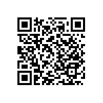 老人在衛(wèi)生間用的扶手怎樣安裝才安全【藍(lán)品盾】