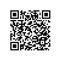 淋浴房安全扶手衛(wèi)生間必備【藍品盾】