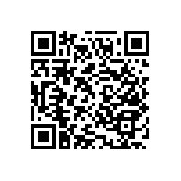 免安裝馬桶扶手架的優(yōu)點【藍品盾】