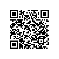 盲道磚的應用及盲道現(xiàn)狀