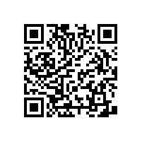 美觀，新穎的衛(wèi)生間馬桶扶手怎么安裝【藍(lán)品盾】