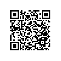 馬桶安全扶手的“款式”【藍(lán)品盾】