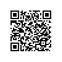 馬桶邊扶手-貼心可訂制【藍品盾】