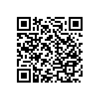 馬桶扶手衛(wèi)生間扶手多功能的款式【藍(lán)品盾】