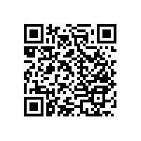 馬桶扶手衛(wèi)生間扶手還有長(zhǎng)的樣的？【藍(lán)品盾】