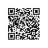 【馬桶免安裝助力扶手】可折疊、移除和收納更方便