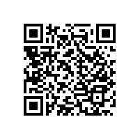 木質(zhì)扶手衛(wèi)生間多功能設(shè)計(jì)更實(shí)用【藍(lán)品盾】