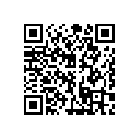 木質(zhì)扶手衛(wèi)生間可訂制多功能款式!【藍品盾】