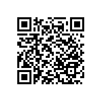 木質(zhì)無障礙扶手/多功能防霉/防潮【藍品盾】