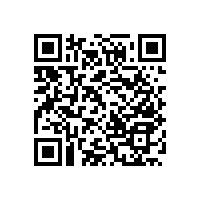 木質(zhì)無障礙扶手/讓生活變的更輕松【藍(lán)品盾】