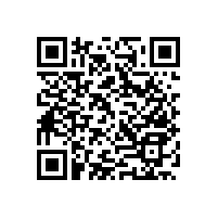 尼龍材質(zhì)的無(wú)障礙坡道扶手-藍(lán)品盾