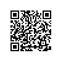 尼龍衛(wèi)生間扶手-長度可定制